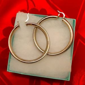 Round metal earrings
